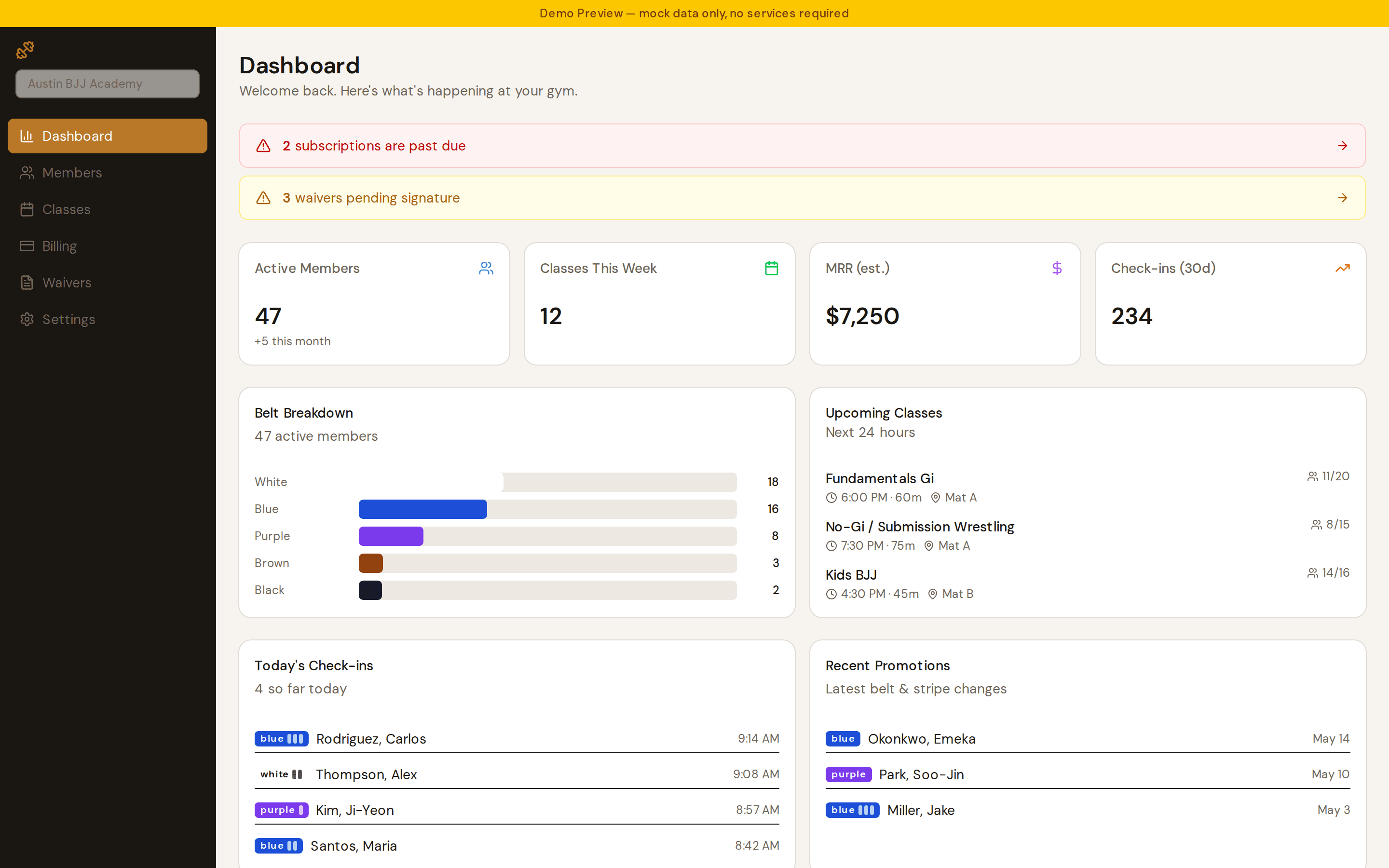 The Gymisphere dashboard: active members, monthly recurring revenue, belt breakdown, today's check-ins and upcoming classes